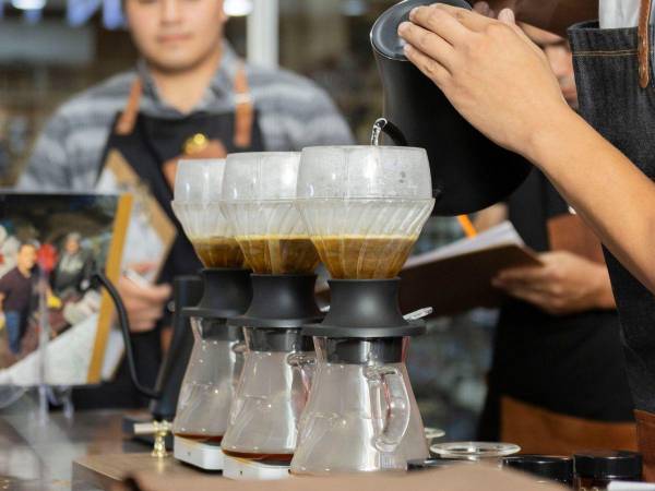 Columna editorial “Una Oportunidad que Florece Entre Montañas” por Juan Carlos Pineda, Director Comercial del Honduran Coffee Expo.