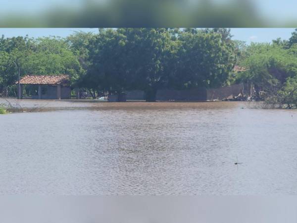 En el sector El Cubulero, Alianza, Valle, se reportan zonas inundadas por el desbordamiento del río Goascorán.