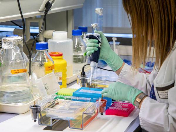 El hígado recordó, cumple funciones esenciales como el control de niveles de azúcar, el metabolismo de hormonas y la eliminación de desechos de la sangre.