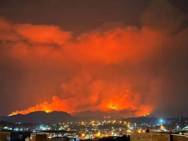 Francisco Morazán y Gracias a Dios son los departamentos con más incendios forestales. En Gracias a Dios hubo 513 incendios que dejaron 154,281 hectáreas afectadas.