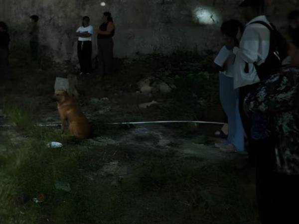 El cuerpo fue levantado por el personal de Medicina Forense, quien lo trasladó a la morgue.