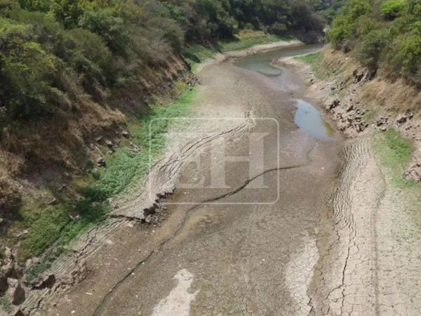 La Secretaría de Gestión de Riesgos y Contingencias Nacionales (Copeco) amplió este martes 26 de mayo la alerta verde por sequía en Honduras, incorporando 15 nuevos municipios a la medida preventiva debido a las condiciones climáticas que afectan gran parte del territorio nacional.