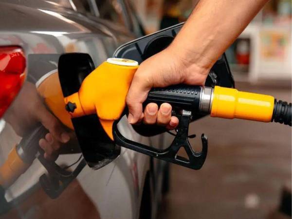 La estructura de precios de los combustibles vuelve a modificarse, con variaciones tanto al alza como a la baja.
