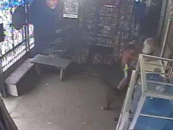 Los menores tuvieron que ser trasladados hasta un hospital debido al ataque del perro.