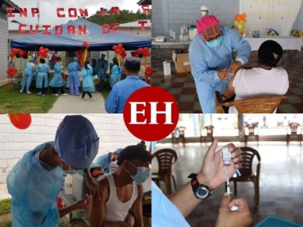 Este domingo, la población privada de libertad de al menos ocho centros penitenciarios de Honduras recibió la primera dosis de la vacuna anticovid, en una campaña coordinada por el Instituto Nacional Penitenciario (INP) y la Secretaría de Salud (Sesal). Asimismo, se informó que la jornada de inmunización contra la covid-19 continuará desarrollándose en los próximos días. Más datos a continuación.