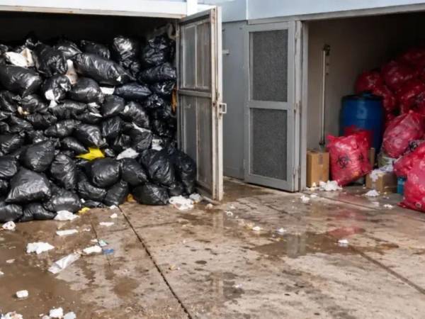Moscas y basura cerca de la cocina del Hospital Escuela generan condiciones insalubres para la preparación de alimentos, denuncian empleados.