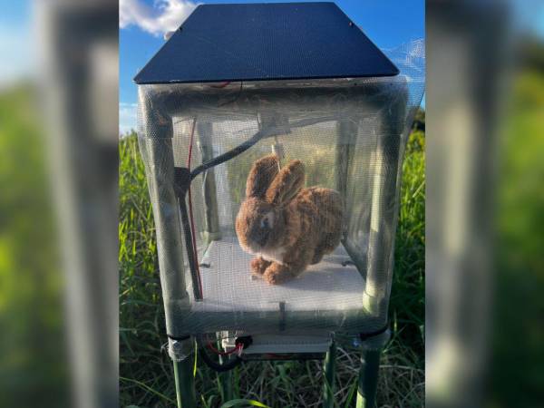 Estos son los señuelos con los que intentan cazar a las pitones.