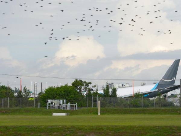 Un avión de carga de Amazon se salió de la pista tras aterrizar este domingo en el Aeropuerto Internacional de Miami.