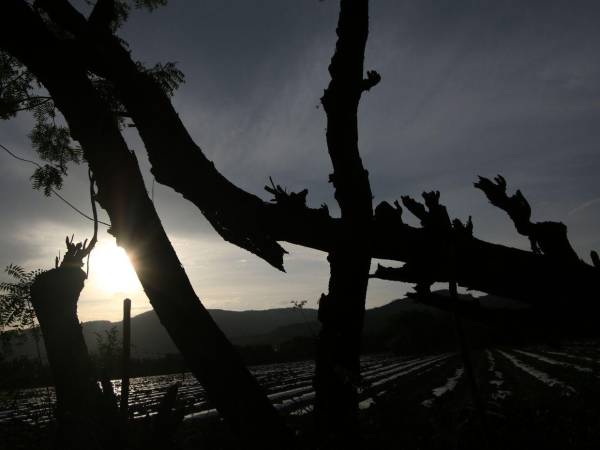 El alcalde explicó que la emergencia no se limita a las pérdidas agrícolas, ya que las fuentes naturales de abastecimiento también comenzaron a secarse.