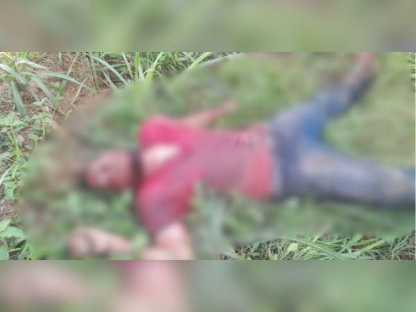 El cuerpo del hombre quedó tendido en medio de la maleza.