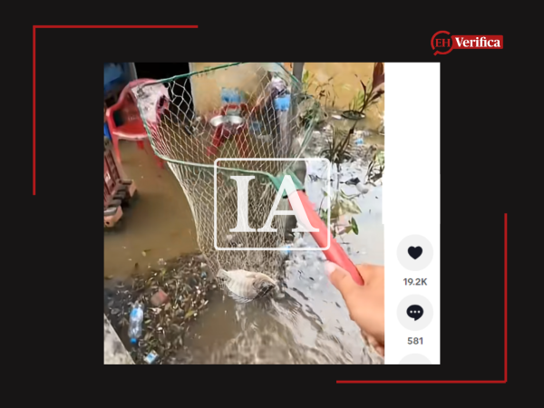 Captura de pantalla a una publicación de Tik Tok, hecha el 5 de octubre de 2026, adaptada a esta cartela.