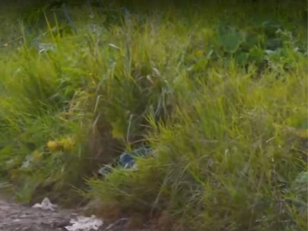 El hombre fue encontrado dentro de unas bolsas que cubrían el cadáver.