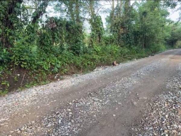 El cuerpo del hombre estaba en una cuneta, a la orilla de la calle.