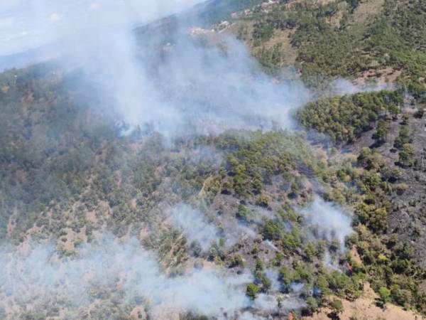 FF AA combaten siete incendios forestales en distintas zonas del país