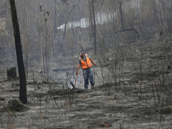 La ausencia de lluvias en Honduras preocupa a ganaderos, agricultores y a la población en general, debido a las afectaciones que ya se manifiestan en la falta de disponibilidad de agua para el consumo animal.