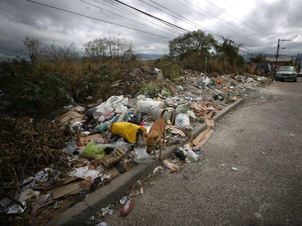 El director de Aseo Municipal señala que la falta de conciencia ciudadana es la principal causa de acumulación de basura en distintos sectores de la ciudad.