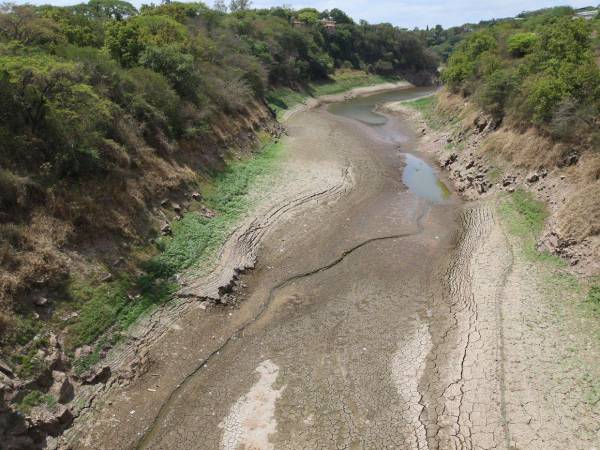 La preocupación por la crisis de agua en la capital continúa aumentando. EL HERALDO realizó un recorrido por la represa Los Laureles y constató el crítico panorama que enfrenta uno de los embalses que abastece al Distrito Central.