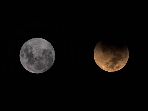 La madrugada del martes -3 de marzo-, miles de personas en diferentes partes del mundo fueron testigos del espectáculo celestial, un eclipse lunar total: “Luna de Sangre”. Así se vio.