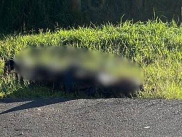 Un crimen dantesco vuelve a preocupar a los capitalinos, tras el hallazgo de un cuerpo sin vida dentro de una bolsa plástica negra, a la orilla de la carretera CA-5. ¿Qué se sabe sobre este caso?