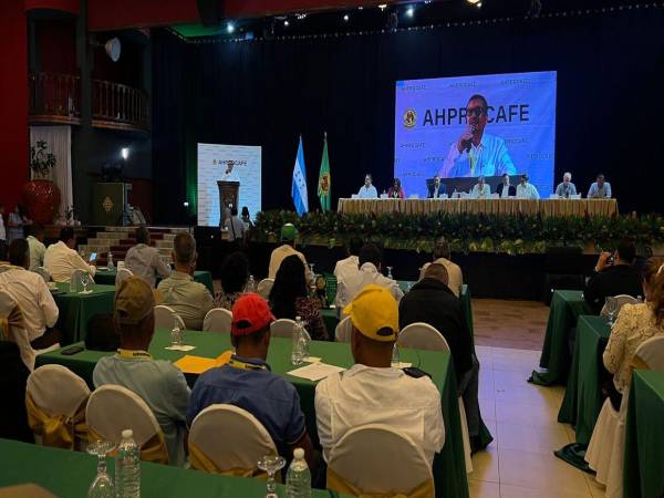 Mendoza, quien también dirige el Instituto Hondureño del Café (Ihcafé) reiteró el compromiso de Ahprocafé de apoyar a los productores con capacitación, asistencia técnica e innovación.
