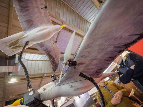 El dron biomimético Seagull Evo fue desarrollado para misiones de vigilancia encubierta al imitar la apariencia y el vuelo de una gaviota real. Díficil de distinguir desde tierra, el dron promete ser tus ojos en el cielo.