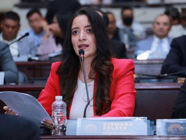 “La Pichu” al momento en que leía las justificaciones de su proyecto de ley.