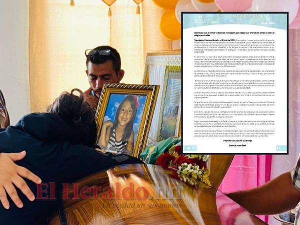 Dinaf pedirá a las autoridades locales emitir ordenanzas municipales para atender el problemática y así eviatr más tragedias como la ocurrida con la pequeña atacada por un perro en Lepaera, Lempira.