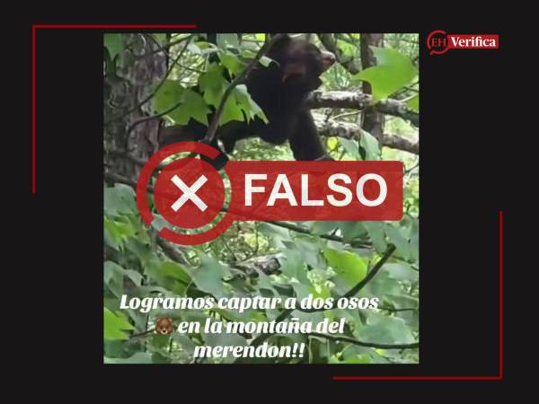 Captura de pantalla a una publicación de TikTok, hecha el 16 de julio de 2026, adaptada a esta cartela.