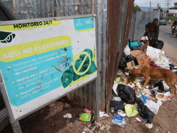 Entre los sectores más afectados mencionó la colonia El Hato, Residencial Plaza, Centroamérica Oeste y la colonia Kennedy.