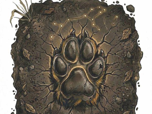 No buscamos venganza. Buscamos justicia; la justicia que es tan escasa en Honduras, porque, como dijo el poeta: ‘Mi país es tan grande, que la justicia no alcanza para todos’. Y tampoco alcanza para los más inocentes de la creación: los animales”.