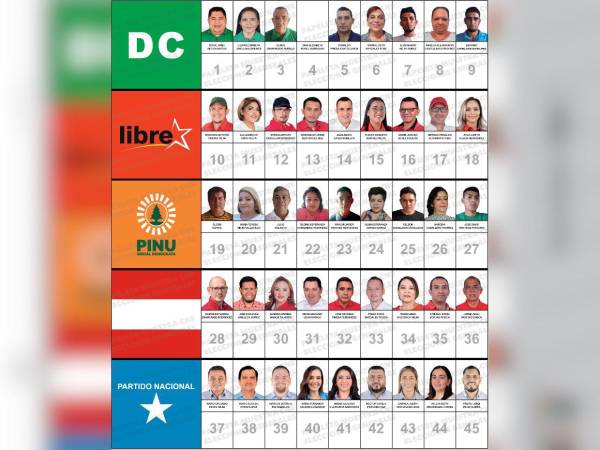 Los cinco partidos en contienda en estas elecciones generales 2025 buscan colocar a sus aspirantes a diputados en el Congreso Nacional. En el departamento de Santa Bárbara, 45 rostros se postulan por una curul. Conozca quiénes son.