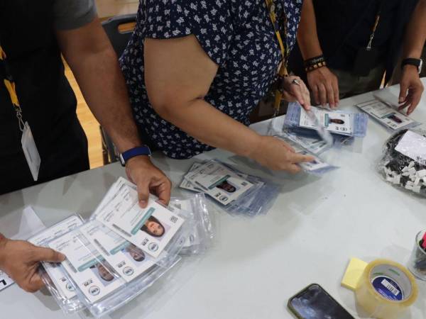 Un total 32,605 credenciales serán para observadores nacionales.