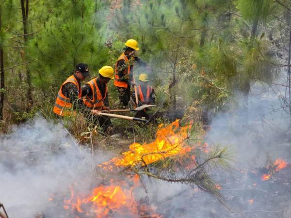 Las labores para intentar controlar las llamas se han intensificado con el paso de los días debido a la magnitud del fuego y a las complicadas condiciones del terreno.