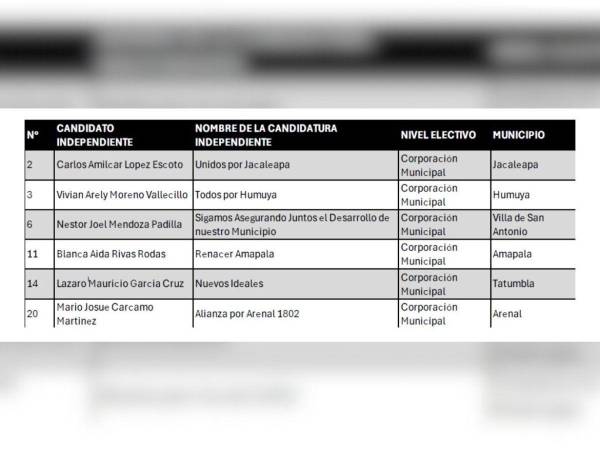 Ningún aspirante independiente a la presidencia o al Congreso logró inscribirse.