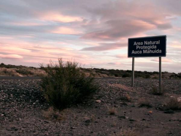”Territorio crudo”, un corto documental que relata como en Auca Mahuida, Área Natural Protegida del norte de la Provincia de Neuquén en Argentina hay 70 pozos petroleros.