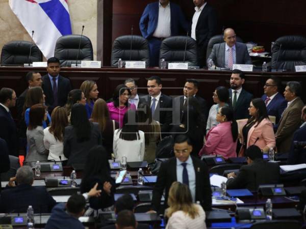 OACNUDH pide al Congreso Nacional elegir autoridades electorales por mérito y no por política.