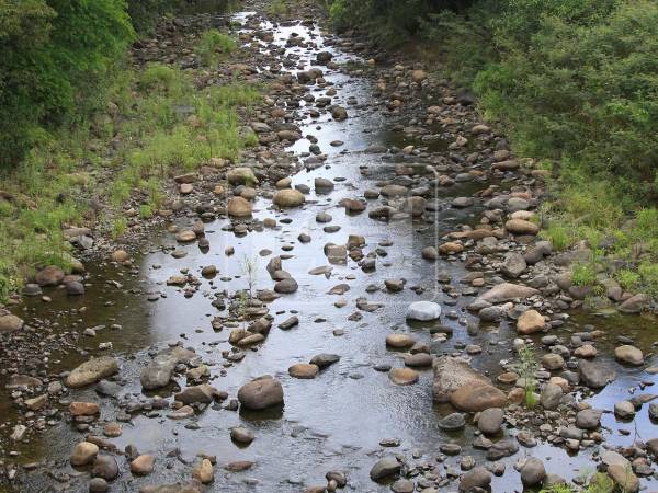 La montaña de Lepaterique, cabecera de los dos ríos de los que depende el 70% del agua de la capital, se ha convertido en una cama de tierra y piedras con apenas un poco de agua. Esa es la realidad que se enfrenta en las cuencas debido a la crisis hídrica producida por la sequía.