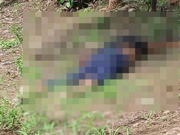 Dos hombres perdieron la vida en el departamento de Choluteca entre el 7 y el 8 de octubre bajo circunstancias similares. Ambos podaban árboles hasta que sufrieron un choque eléctrico.