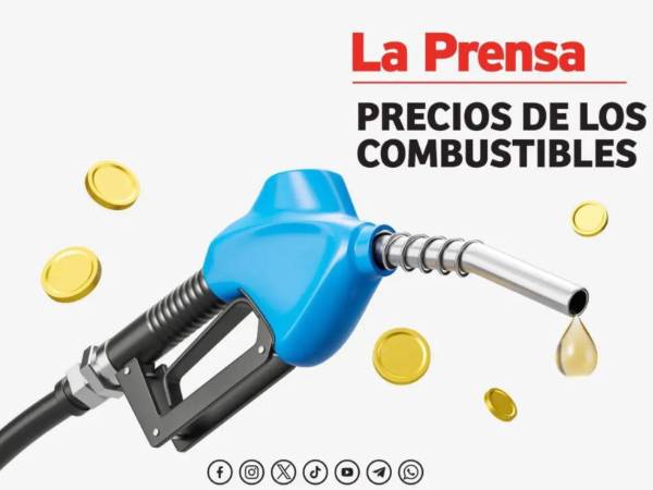 Habrá rebajas en los combustibles a partir del lunes 22 de diciembre, según la Secretaría de Energía.