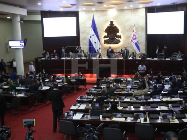 La iniciativa fue impulsada por Tomás Zambrano tras solicitudes de la Asociación de Municipios de Honduras.