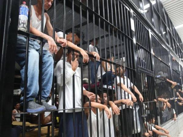​El titular del Poder Legislativo remarcó que las fuerzas de seguridad requieren con urgencia el blindaje jurídico de estas normativas