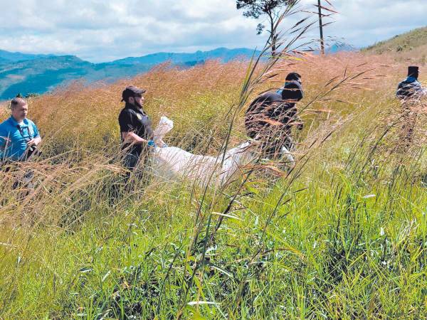 En una zacatera ubicada en el sector 5 de la colonia Cerro Grande fue encontrada asesinada Daphne Yissel Hernández Rivera.
