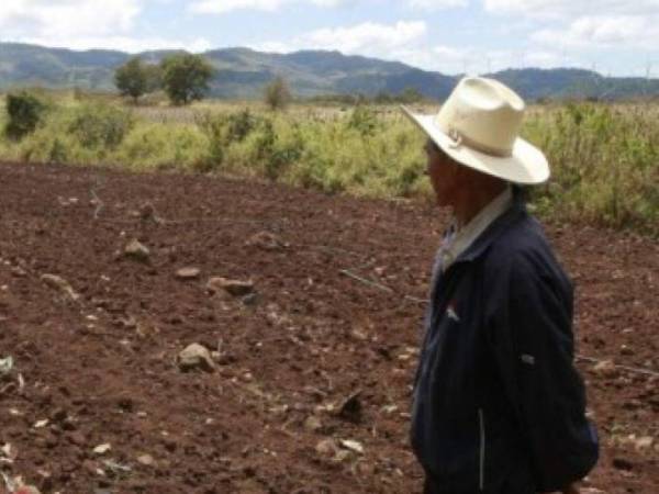 En muchas zonas del país las lluvias han sido escasas, por lo que a los productores no han empezado a sembrar.