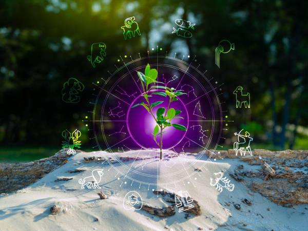 Horóscopo de hoy martes 2 de septiembre en Honduras: predicciones para tu signo zodiacal