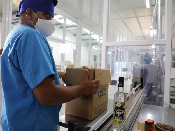 A través de marcas como El Sabrosón, Piquete y Gran Caribe, la destilería ha llegado al consumidor con una propuesta que combina autenticidad, sabor y accesibilidad.