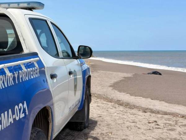 El hallazgo fue reportado por personas que se encontraban en la zona, quienes alertaron a las autoridades tras observar el cuerpo flotando en el mar.