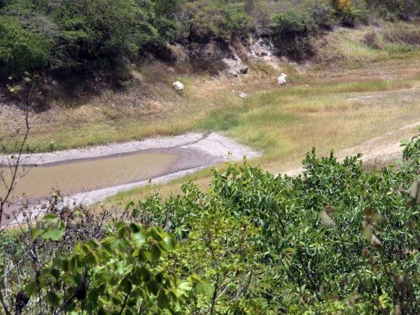 La falta de lluvias mantiene en descenso las reservas de agua de la capital y obliga a la Alcaldía a evaluar elevar a roja la alerta por sequía.