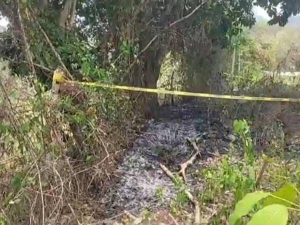 El cadáver de una mujer fue encontrado quemado la mañana de este lunes -11 de mayo- a un costado de la carretera en la aldea Cordoncillo, municipio de San Antonio de Cortés, en la zona norte de Honduras. Aquí los detalles: