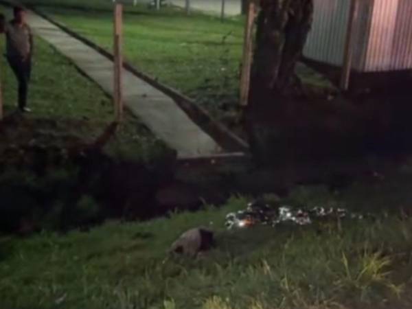 El cuerpo del pequeño quedó a la orilla de la pavimentada, donde fue levantado por las autoriudades.