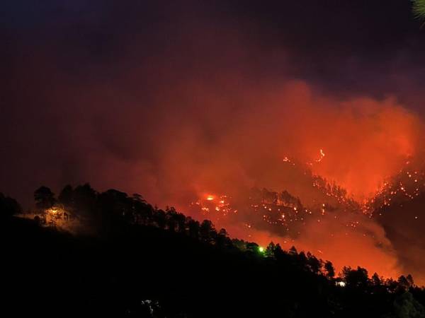 En las últimas horas se ha reportado un incendio forestal de gran magnitud en el departamento de Francisco Morazán, específicamente una área verde del municipio de Valle de Ángeles.